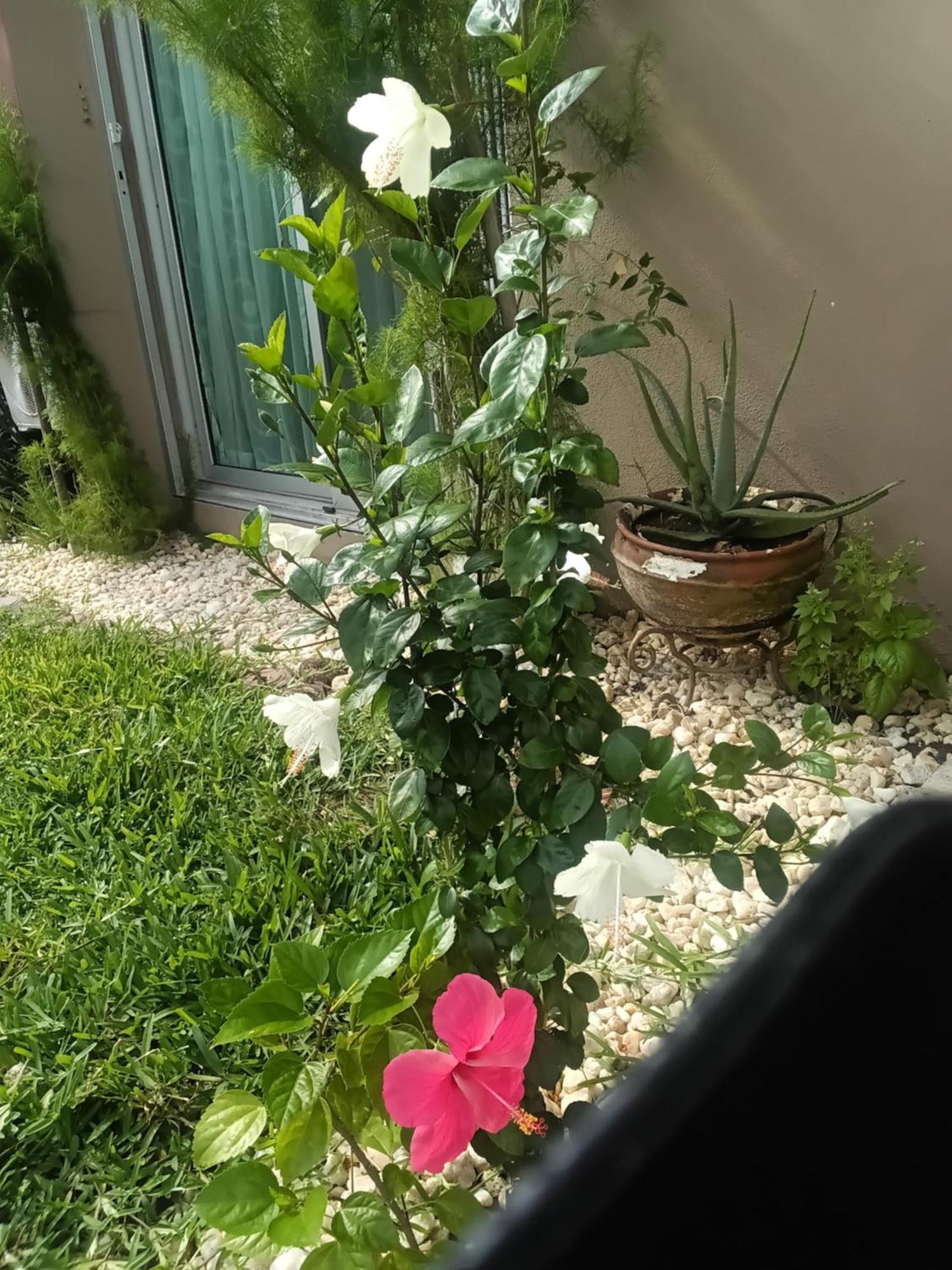 אבידג'אן Maison Katia מראה חיצוני תמונה